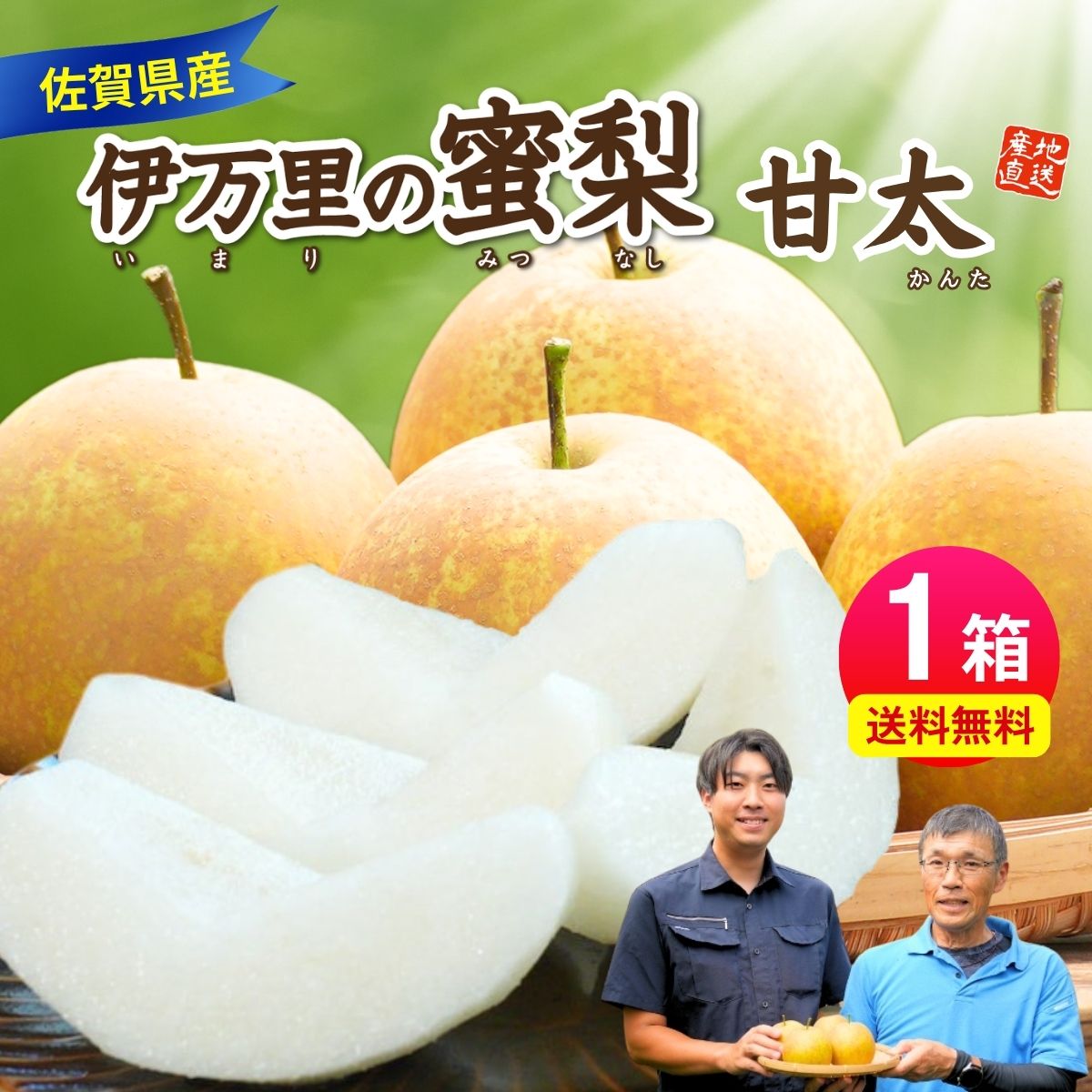 梨 豊水 佐賀 伊万里梨 2箱セット 1箱あたり約2.5kg(5~8玉) 産地直送