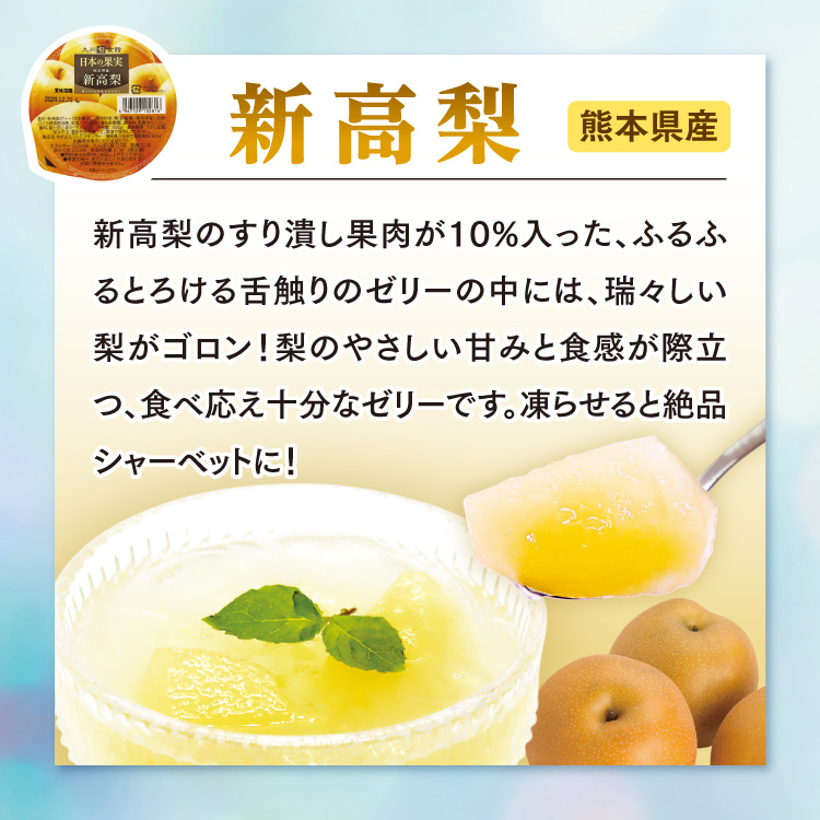まるかじり九州 ゼリー ギフト フルーツゼリー 詰め合わせ 6種 4箱