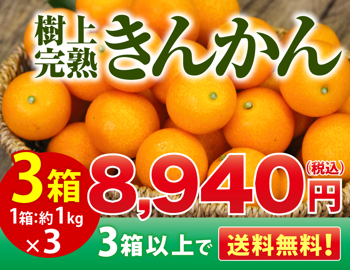 宮崎県産 きんかん 樹上完熟 金柑 うめっちゃが 2箱 (約2kg) 大玉 【3