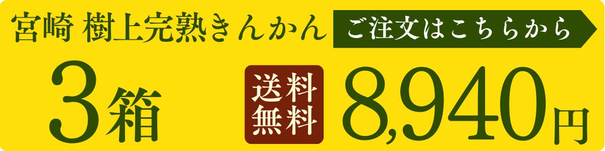 まるかじり九州 きんかん 金柑 宮崎 2箱セット 1箱あたり2Lサイズ (約