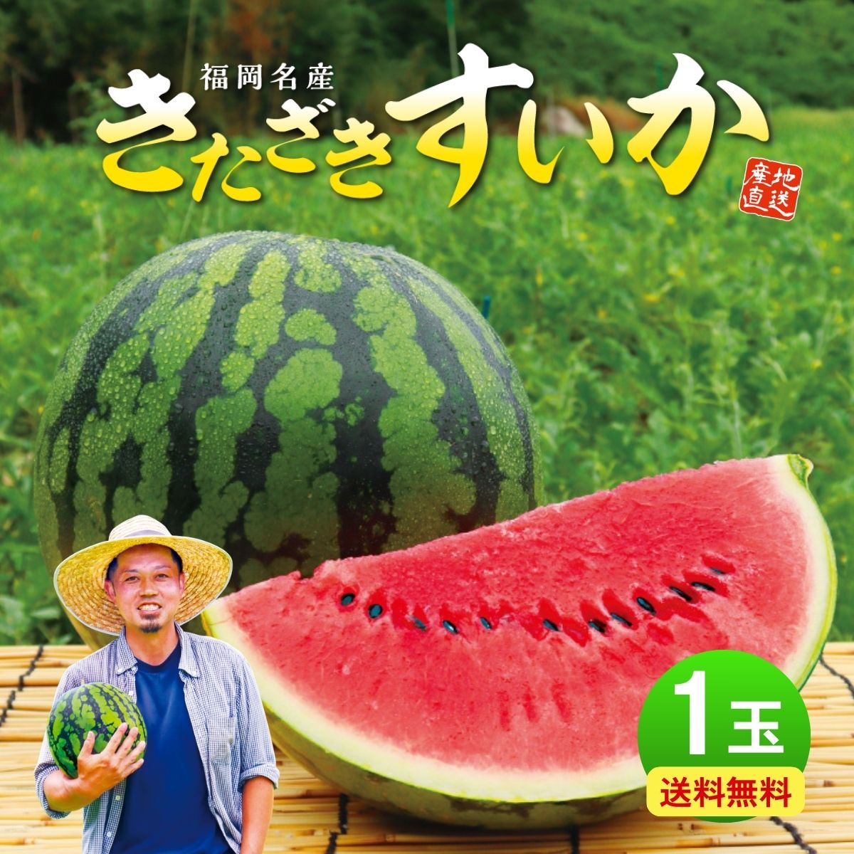 スイカ 福岡 北崎 きたざきすいか 1玉 (約6〜7kg) Lサイズ 九州 国産 