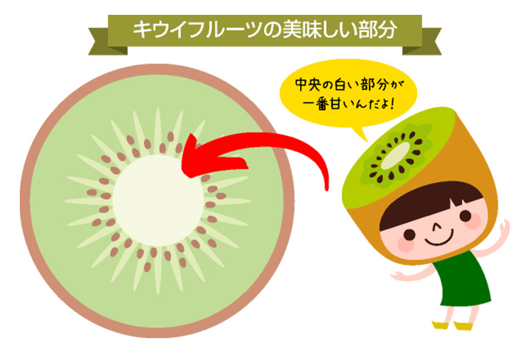 キウイフルーツ