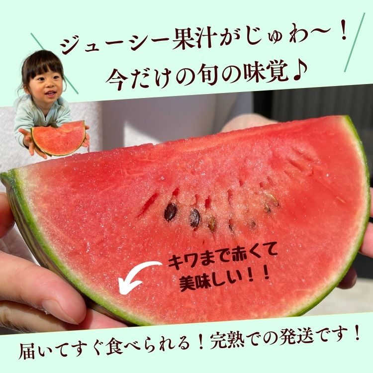 スイカ 熊本 ひとりじめ 2玉セット 1玉あたり約2kg 小玉すいか