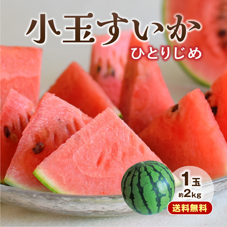 すいか,小玉すいか,ひとりじめ,熊本,送料無料,スイカ,熊本県産,甘い,産地直送,産直フルーツ,少人数,食べきり