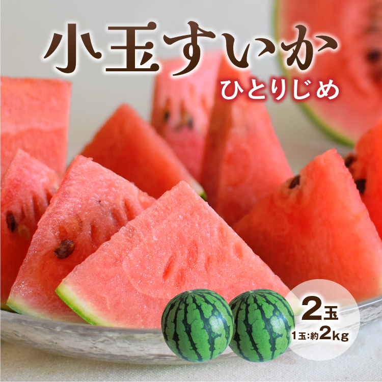 くまもと食彩の力 熊本 メロン1玉＆小玉 西瓜 1玉 合計 箱込み