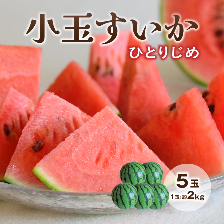 すいか,小玉すいか,ひとりじめ,熊本,送料無料,スイカ,熊本県産,甘い,産地直送,産直フルーツ,少人数,食べきり