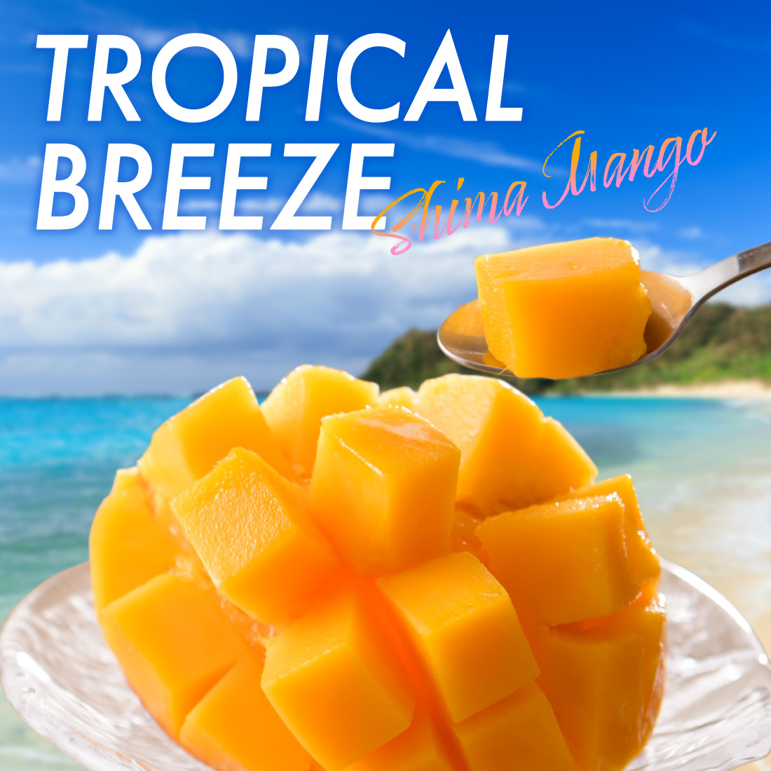 mango_mall_220801_10.jpg