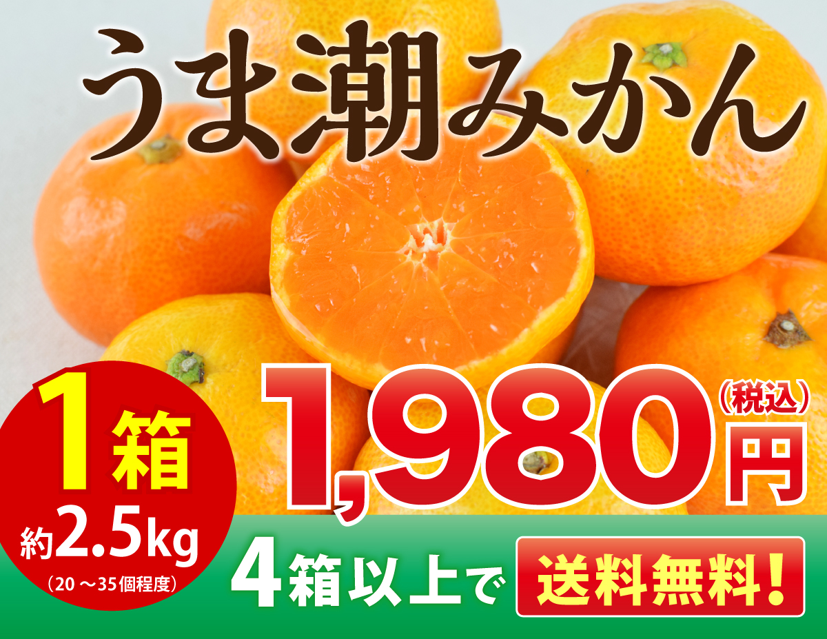 熊本県産 福岡県産 みかん40kg - exedatacenter.com