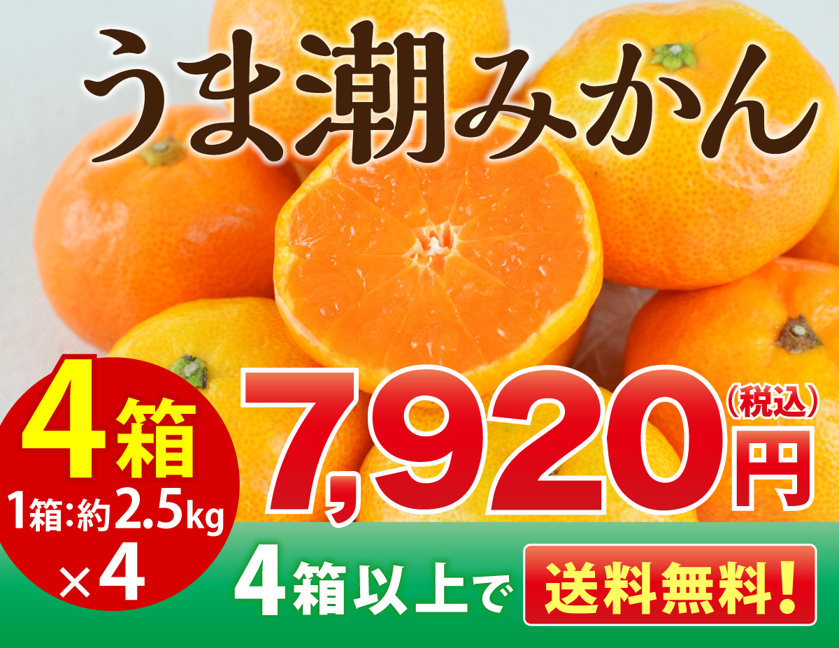 Amazon | OKURUX [2個セット] 不二家 ガツンとみかんグミ 53g ×2