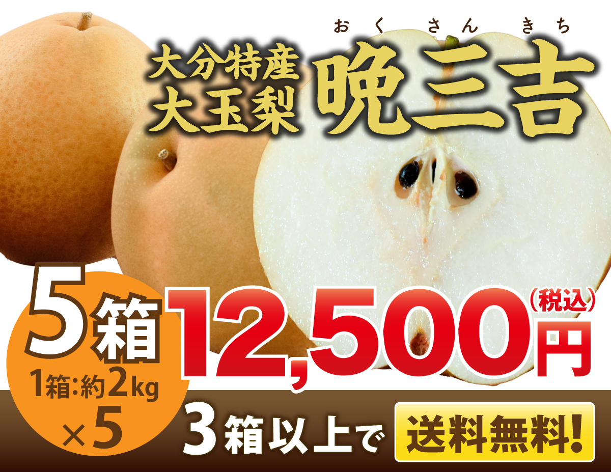 梨,大分,日田,晩三吉,ばんさんきち,おくさんきち,日田梨,希少,珍しい,産地直送