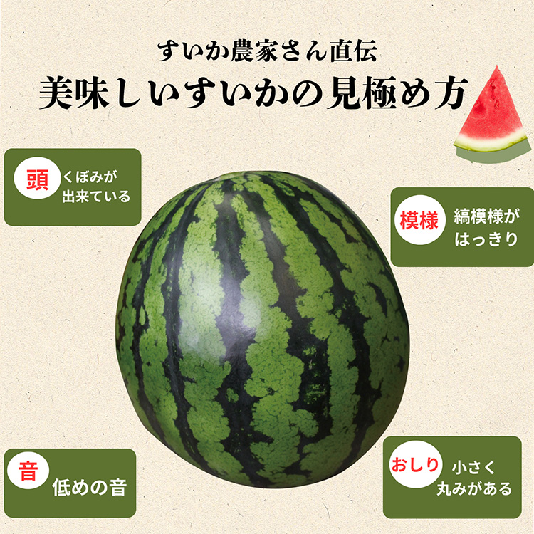 秋スイカ 羅皇 熊本 大玉 送料無料 2玉セット 1玉あたり7〜8kg 2L