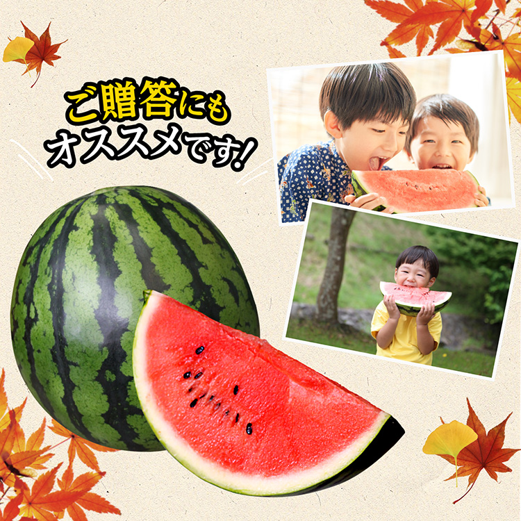 秋スイカ 羅皇 熊本 大玉 送料無料 2玉セット 1玉あたり7〜8kg 2L