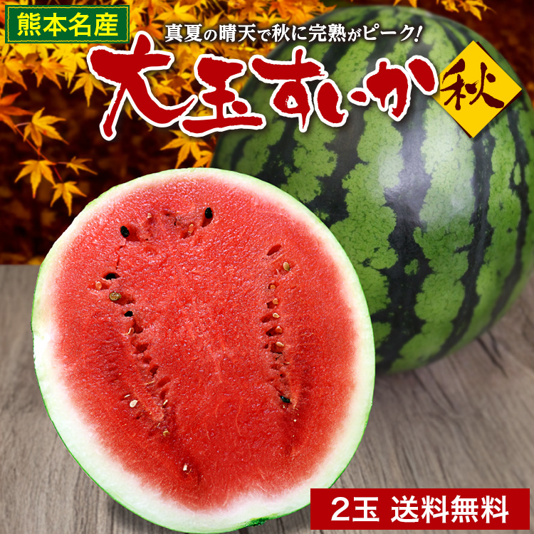 秋スイカ 羅皇 熊本 大玉 送料無料 2玉セット 1玉あたり7〜8kg 2L