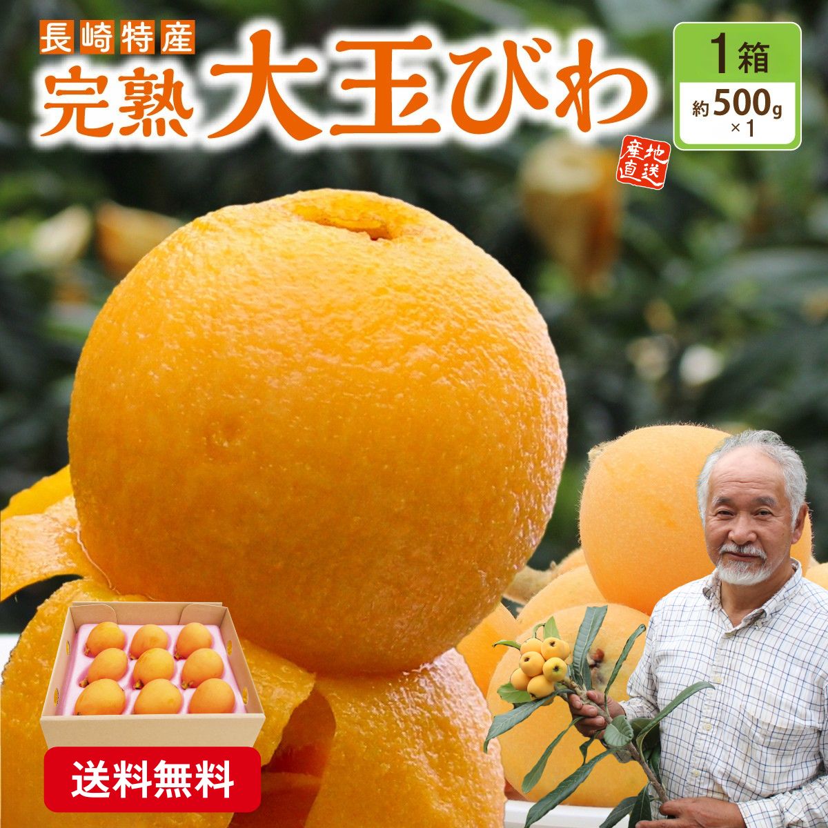 まるかじり九州 びわ 枇杷 長崎 大玉 1箱（約500g 9玉） ビワ 完熟 樹