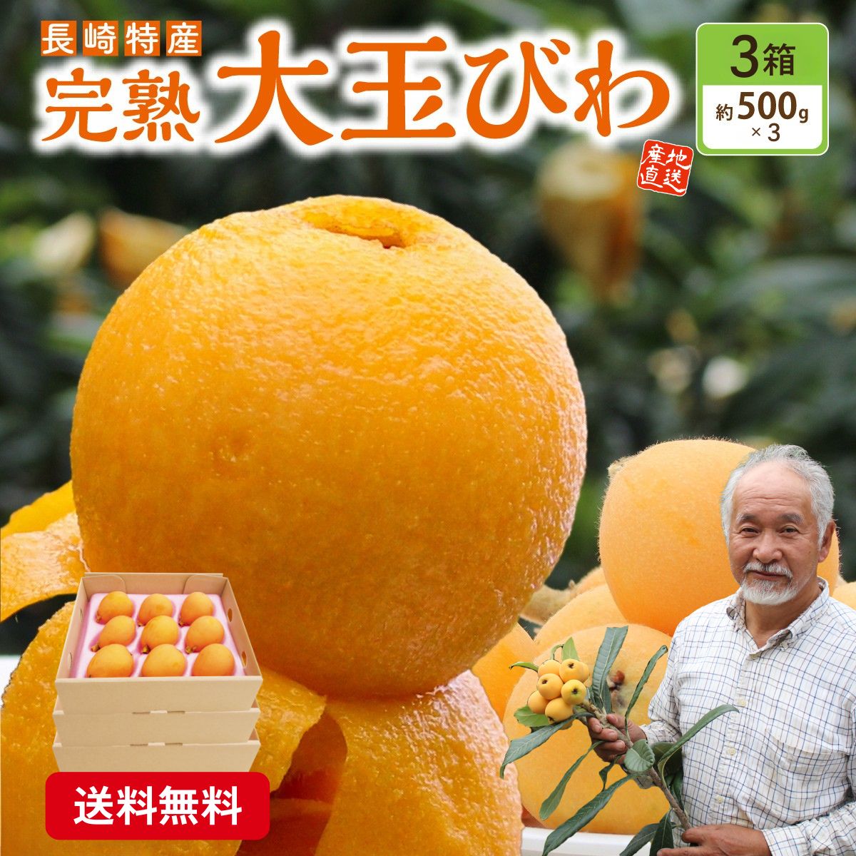 まるかじり九州 びわ 枇杷 長崎 大玉 3箱セット 1箱あたり約500g (9玉