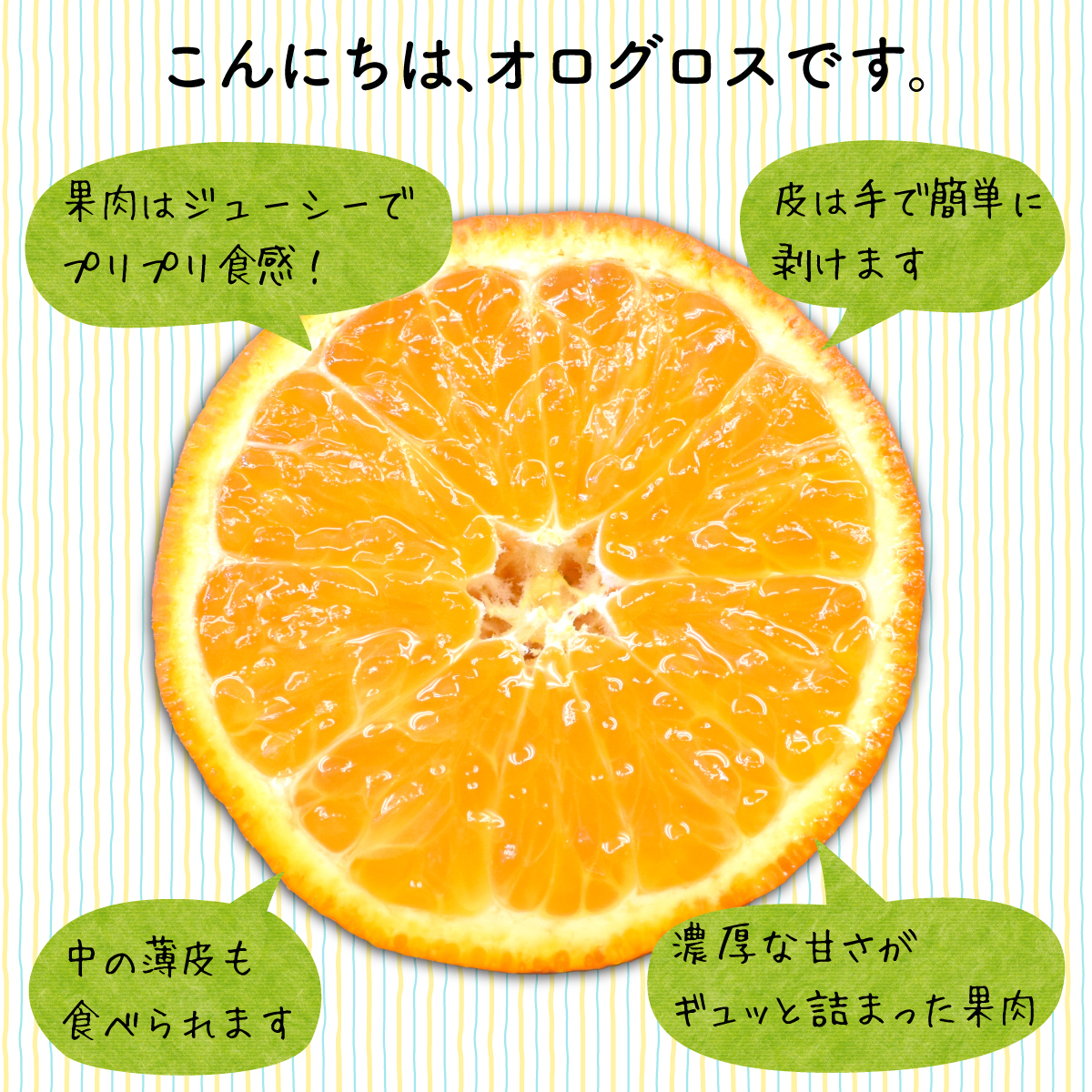 オログロス （クレメンティン 早生） 佐賀 2箱セット 1箱あたり約2kg