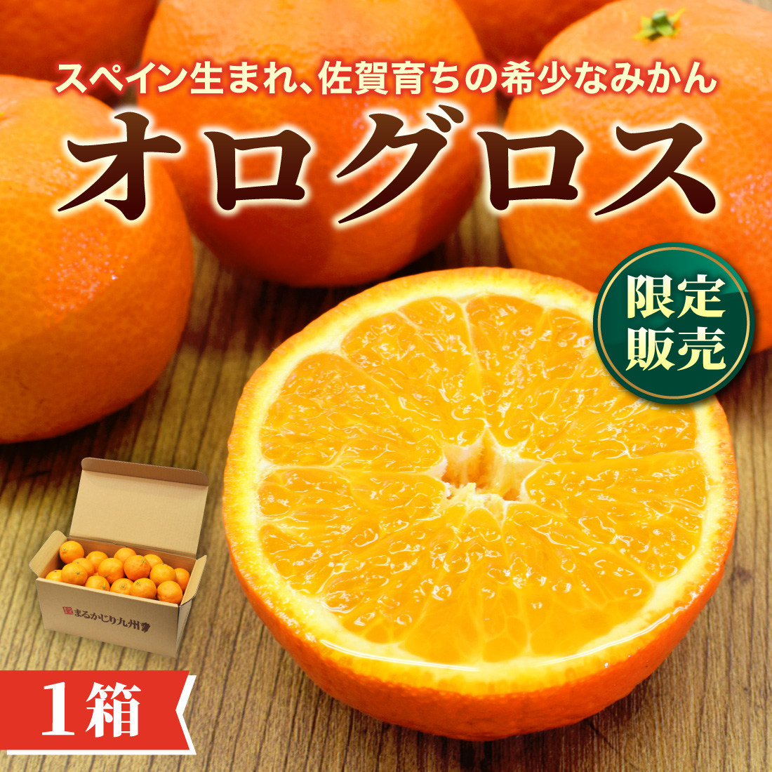 ＼今シーズン販売終了／ みかん 小玉 濃厚 オログロス 佐賀県産 1箱 約2kg【3箱以上 送料無料】 柑橘 早生クレメンティン 手で剥ける  種がほぼない