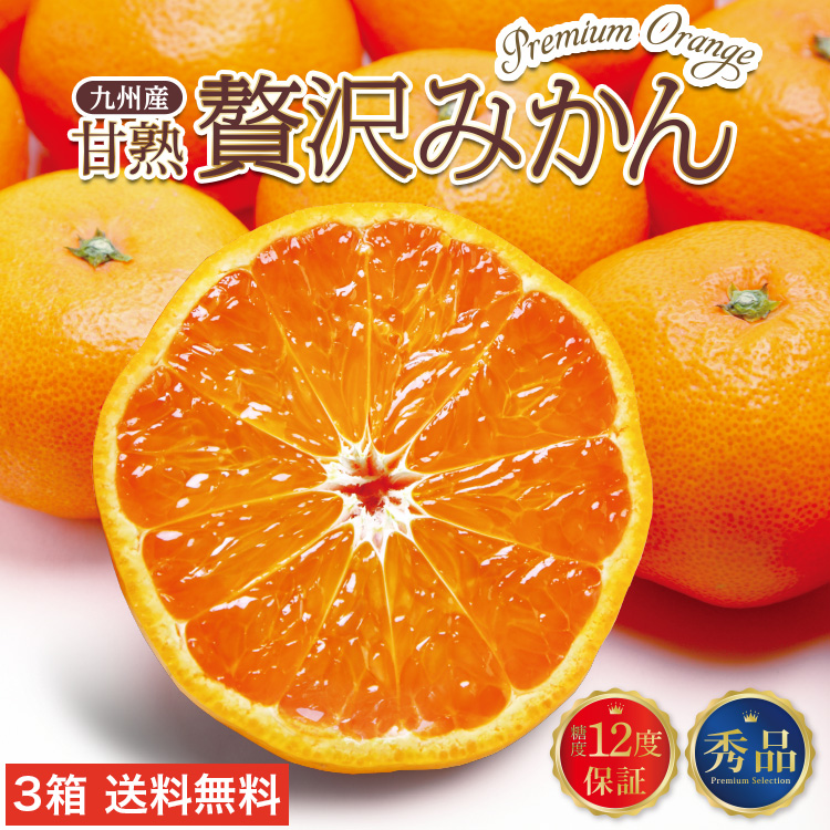 みかん 熊本 福岡 送料無料 甘熟贅沢みかん 3箱セット 1箱あたり約2kg