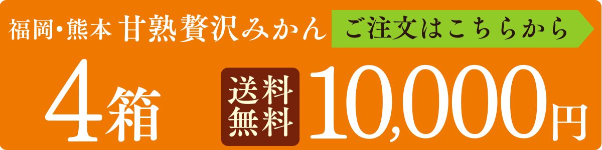 みかん 熊本 福岡 送料無料 甘熟贅沢みかん 2箱セット 1箱あたり約2kg