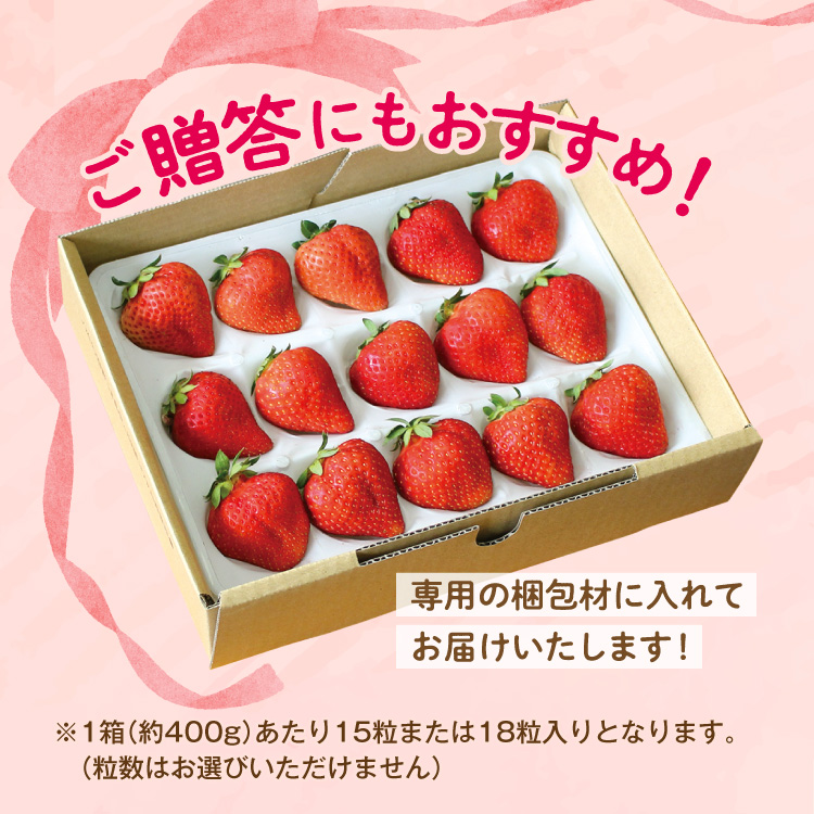 まるかじり九州 いちご さがほのか 佐賀 送料無料 2箱セット 1箱 まるかじり九州 いちご さがほのか 佐賀 送料無料 2箱セット 1箱