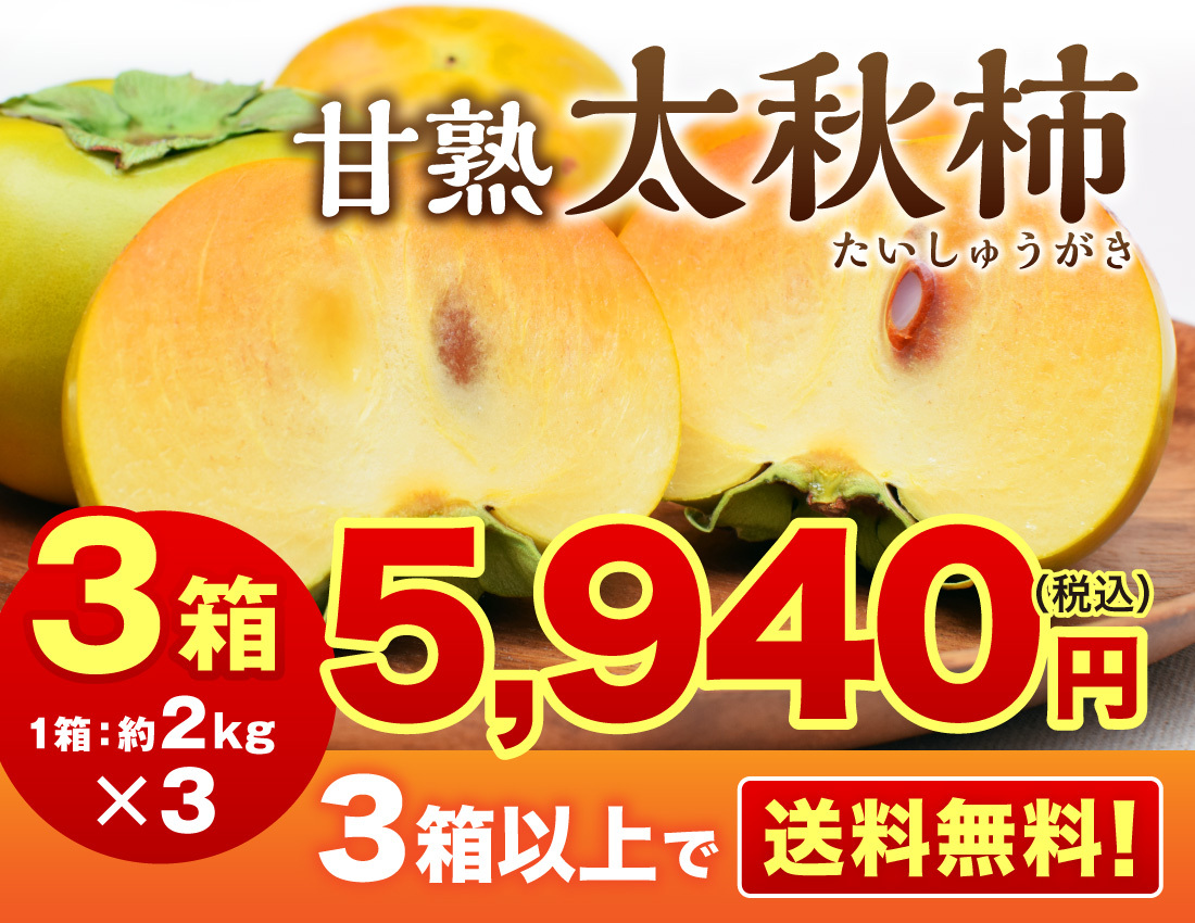 送料無料 柿 太秋柿 福岡産 甘熟 太秋柿 3箱 約6kg 秀品 L〜2L サクサク 甘柿 人気 太秋 産地直送 かき 贈答 : 31218 :  まるかじり九州 Yahoo!店 - 通販 - Yahoo!ショッピング