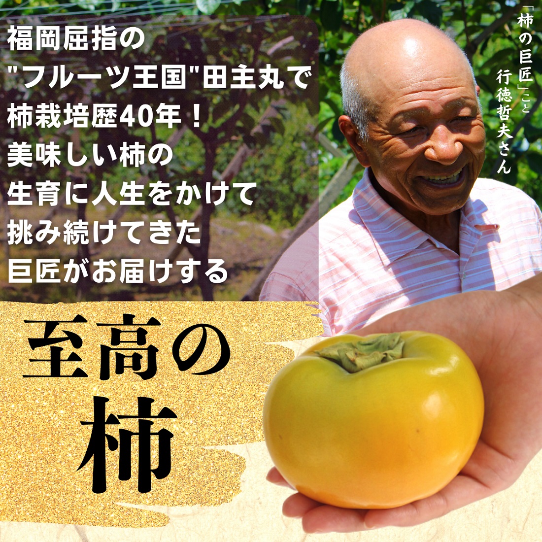 送料無料 柿 太秋柿 福岡 巨匠の太秋柿 ３箱 約6kg 2l 甘い 甘柿 人気 サクサク おすすめ 産地直送 秀品 贈答 プレゼント 農家直送 321 まるかじり九州 通販 Yahoo ショッピング