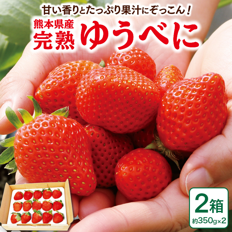 ゆうべに