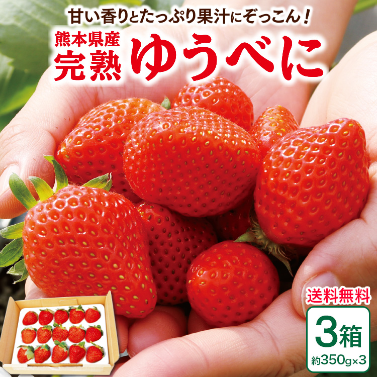 ゆうべに