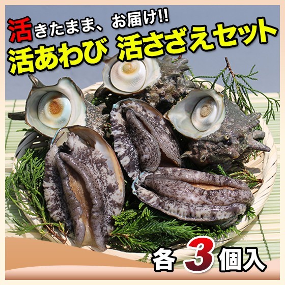 誰でも簡単 サザエの塩茹でレシピ マルカツ市場 御宿活魚 ヤフー店 通販 Yahoo ショッピング