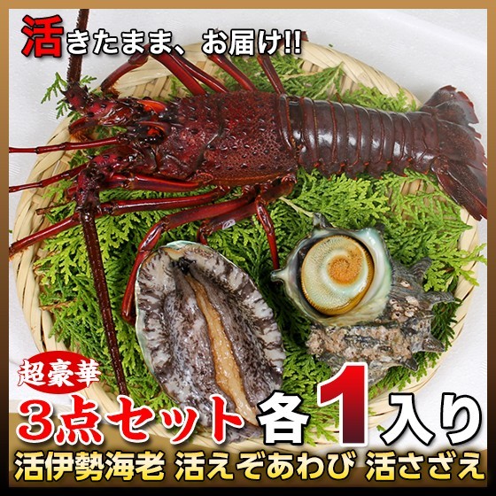 誰でも簡単 サザエの塩茹でレシピ マルカツ市場 御宿活魚 ヤフー店 通販 Yahoo ショッピング