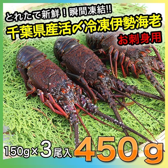 冷凍伊勢海老(千葉県産 限定)