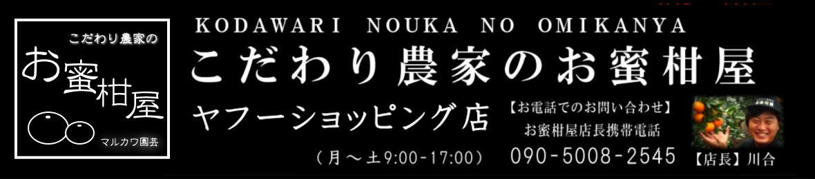 こだわり農家のお蜜柑屋ヤフー店 ヘッダー画像