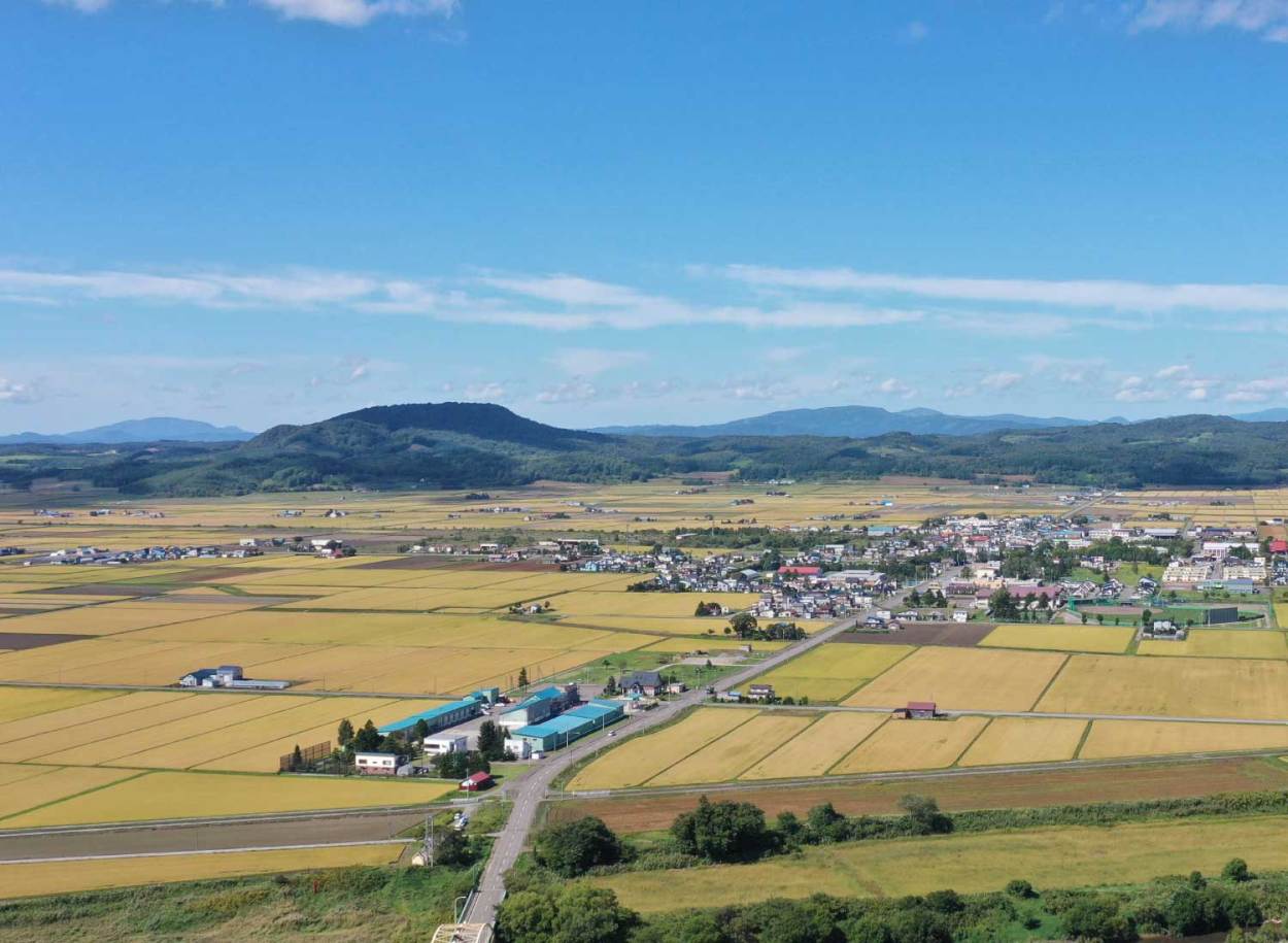 北海道深川産