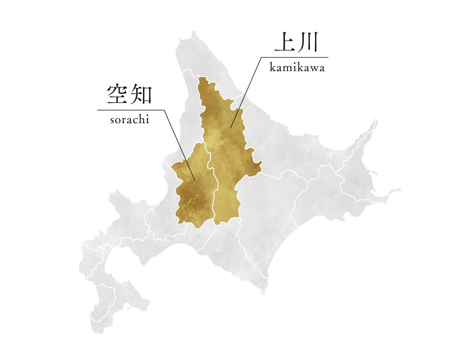 北海道上川・空知地方産