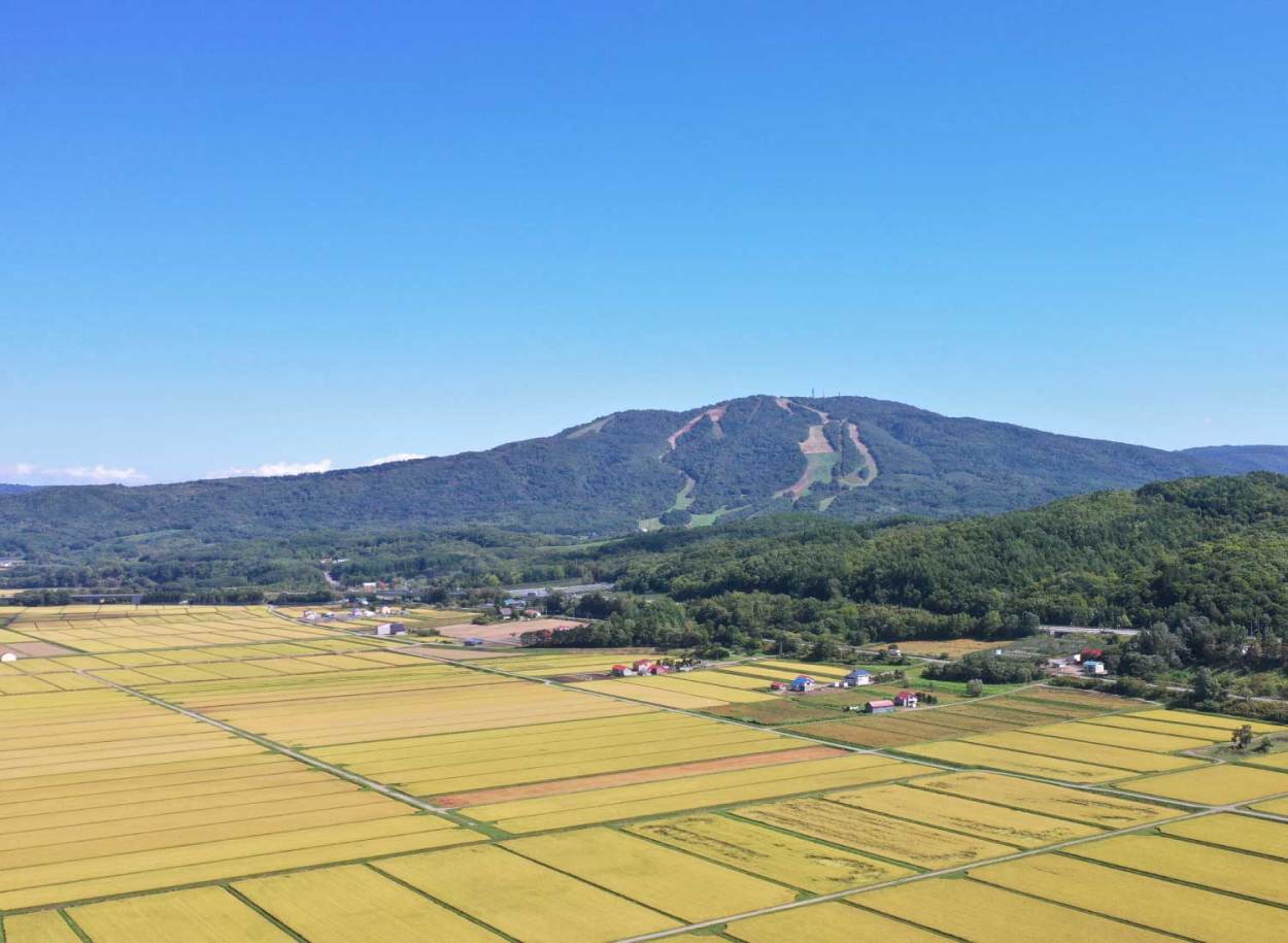 北海道上川空知産