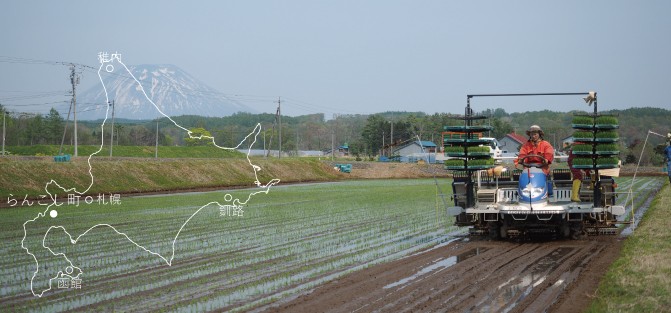 松岡さんの田植え風景