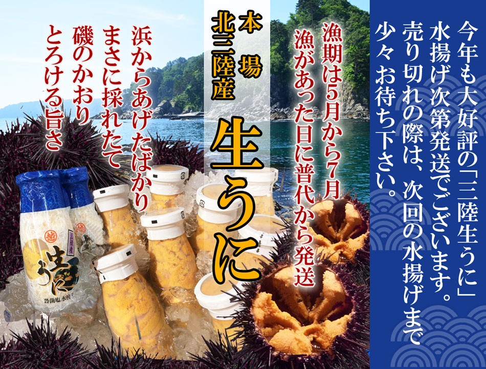 送料無料 訳あり 南部せんべい こわれ メガ盛り 2.2kg 割れせんべい 煎餅 お菓子 スイーツ せんべい