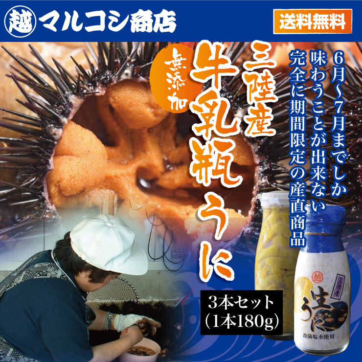 獲れ次第順次発送中 送料無料 岩手県産 天然生ウニ 180g×3本 採れたて