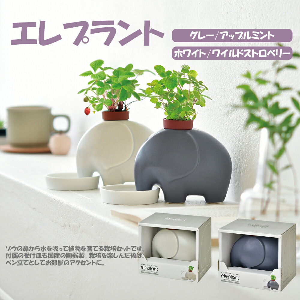 くまのプーさん　栽培キット　陶器　置物　ガーデニング　インテリア【未使用品】 楽天市場】10%offクーポン配布中 フラワーポット 植木鉢