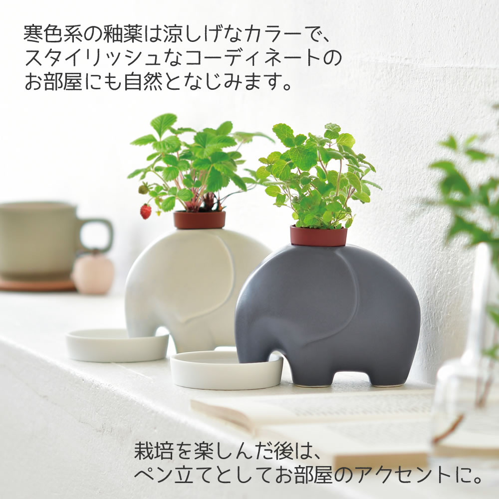 くまのプーさん　栽培キット　陶器　置物　ガーデニング　インテリア【未使用品】 piglet_508324