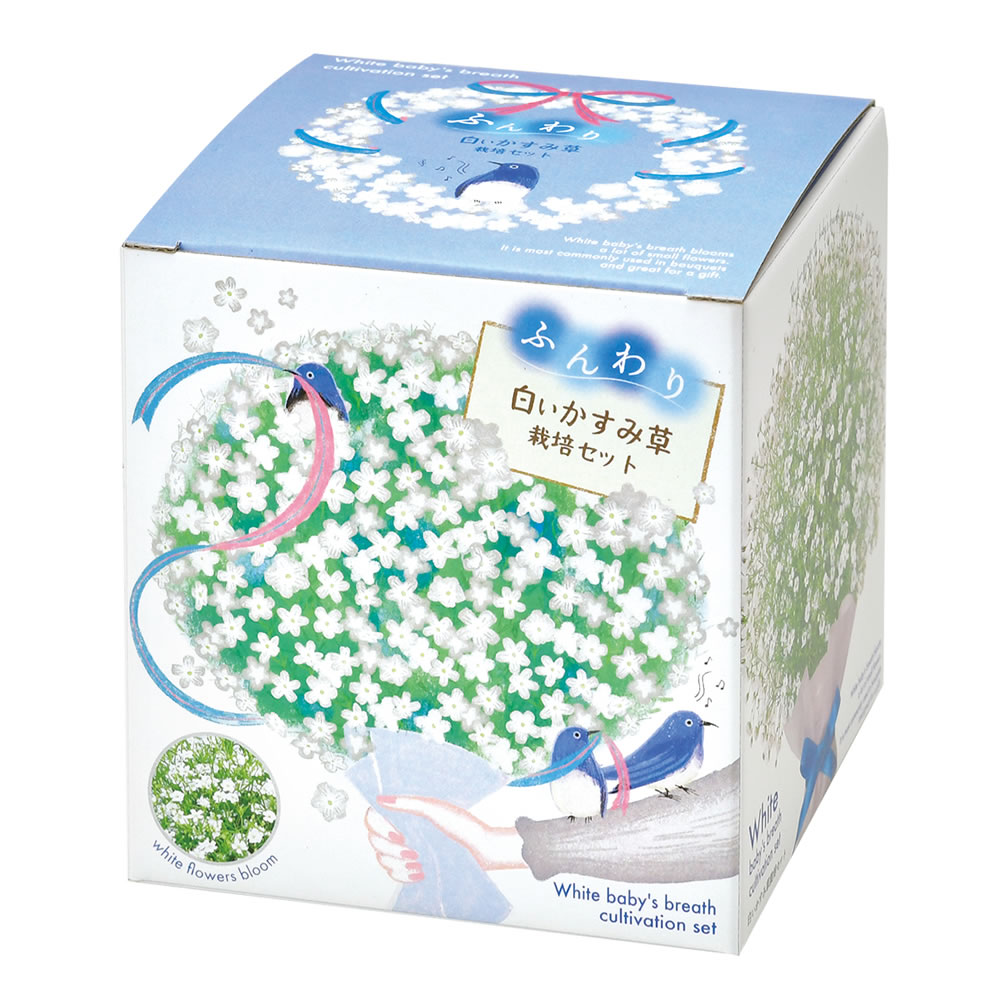 カンパニュラ8個、すずらん、かすみ草セット 観葉植物 栽培キット 花 フラワー 室内 ミニプランター