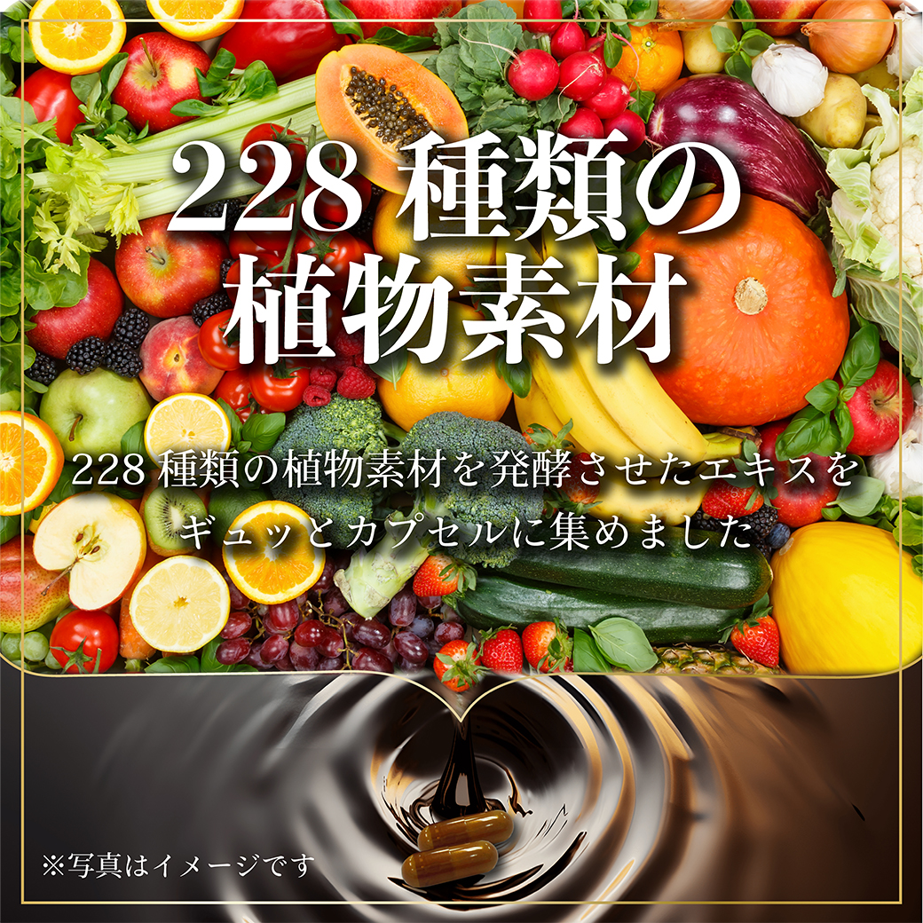 万田酵素 豊生 228種類の植物発酵エキス ダイジェザイム 穀物発酵