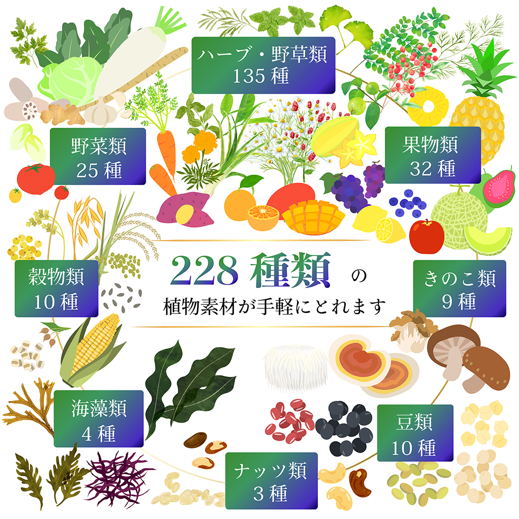 万田酵素 豊生 228種類の植物発酵エキス ダイジェザイム 穀物発酵