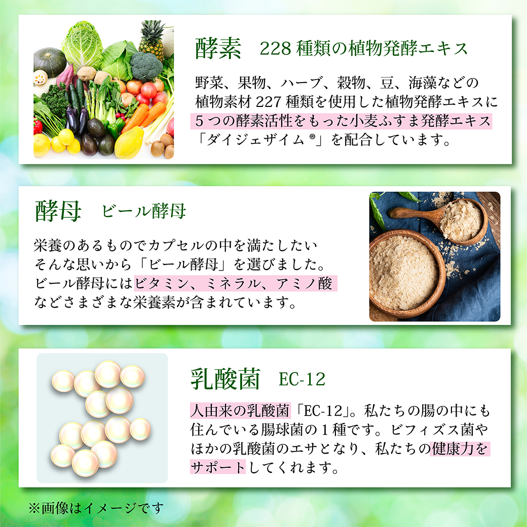 万田酵素 豊生 228種類の植物発酵エキス ダイジェザイム 穀物発酵