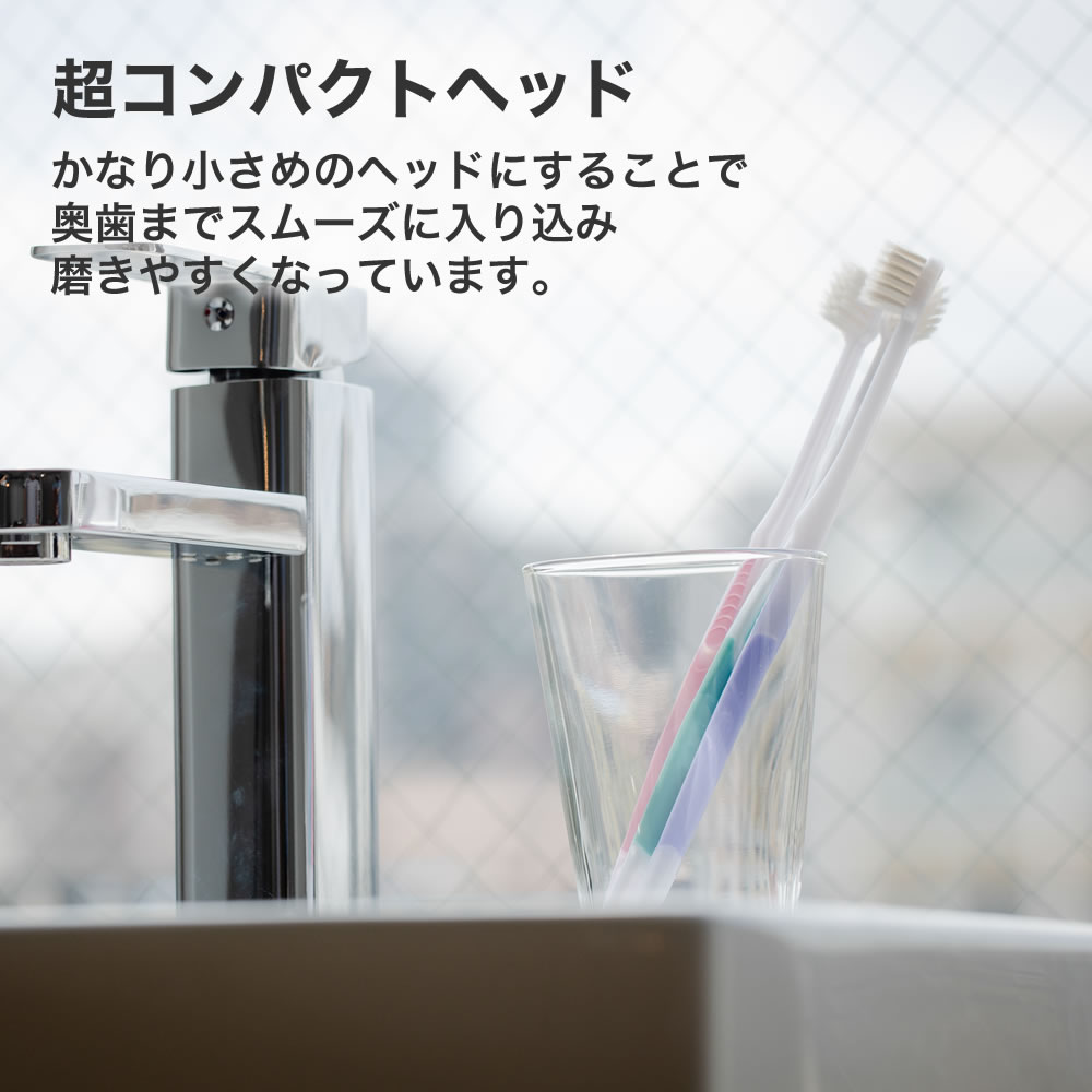 シケン ハミガキ はぶらし ふつう コンパクトヘッド 抗菌毛