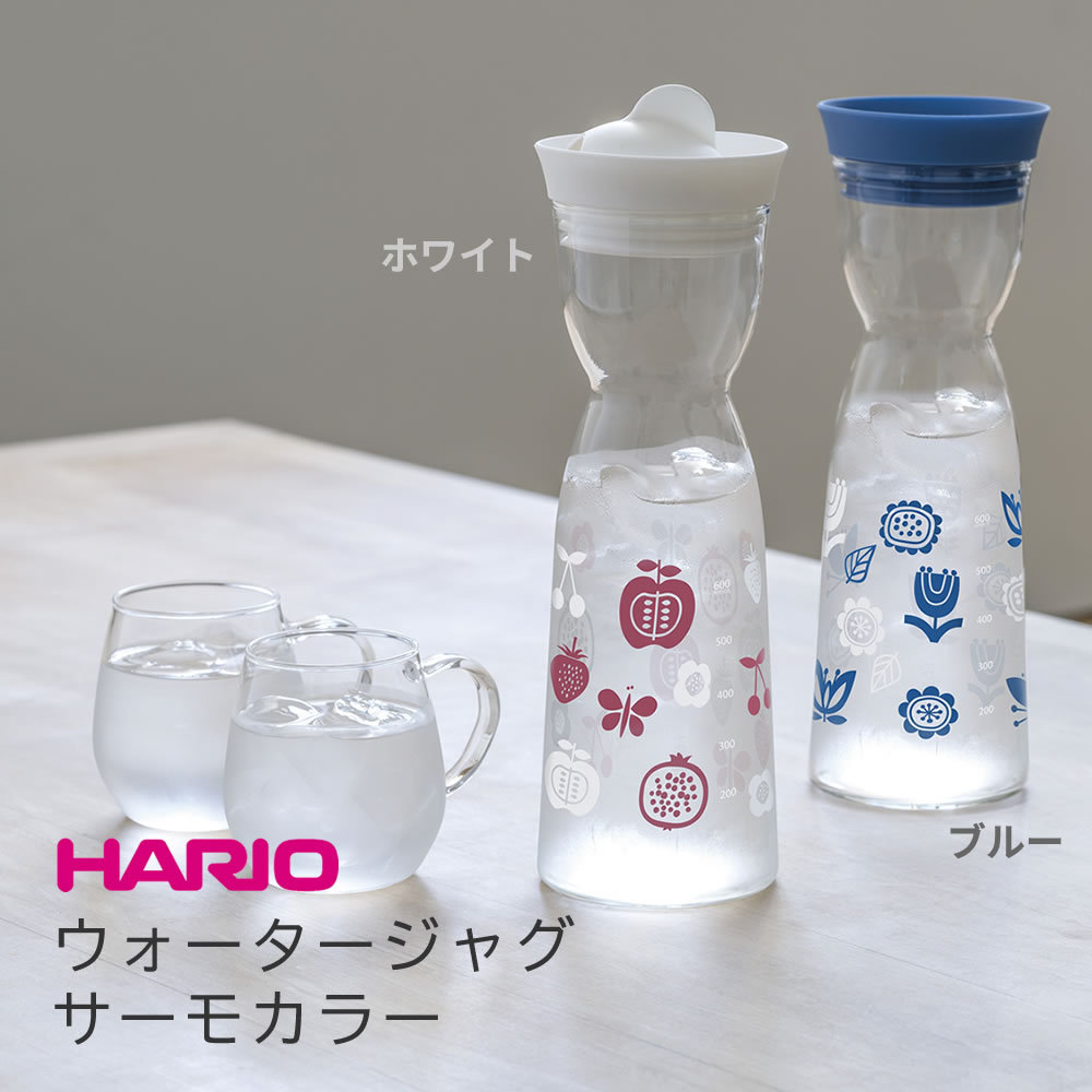 WHYTO（ホワイト） ハリオ HARIO ウォータージャグサーモカラー（WJT