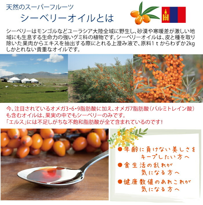 国内外の人気が集結 豊生 ビタミンＣタブレット 500mg×210粒 ２個組 サプリ 栄養機能食品 レモン 補給 ビフィズス菌 フェカリス菌  ハトムギエキス タブレット まとめ買い ポイント消費