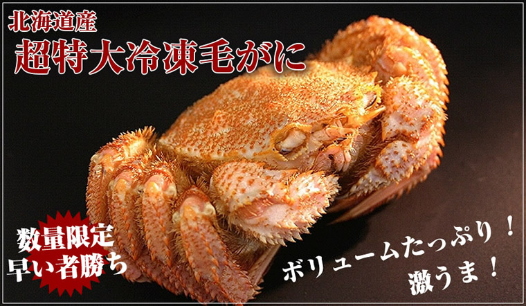 ボイル毛がに 1kg×1尾 超特大 ジャンボ 毛蟹 毛ガニ 姿 カニ通販 道産品 北海道産 お取り寄せ ギフト :asu1415:北海道グルメマート  - 通販 - Yahoo!ショッピング