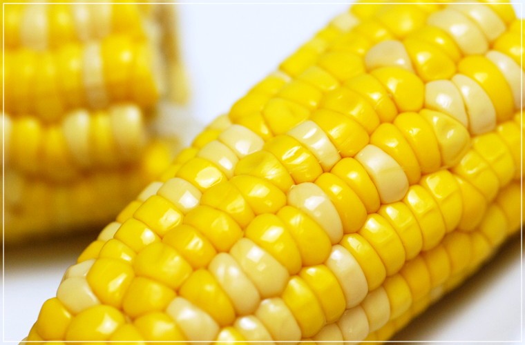 北海道のとうもろこしがレトルトパックに!どうしても農産物は、季節によって食べることができなくなってしまいますよね。北海道のとうもろこしがどうしても食べたくなることも・・・そんな時に便利なのがレトルトパック!ゆでてパックしてありますので、温めて食べるとまるでゆでたてを食べているかのようです。