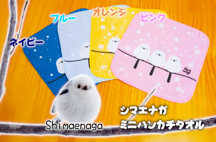 シマエナガ ミニハンカチタオル 4色セット ゆうパケット 送料